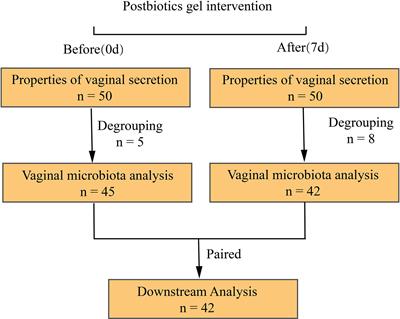 Postbiotic gel relieves clinical symptoms of bacterial vaginitis by regulating the vaginal microbiota